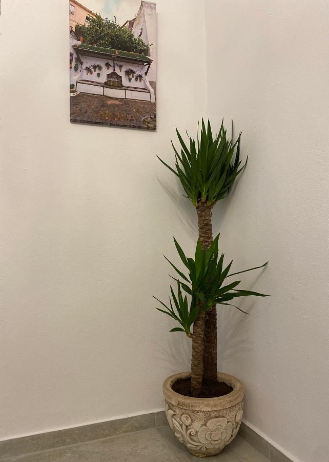 Suites Benalup Centro Bagian luar foto